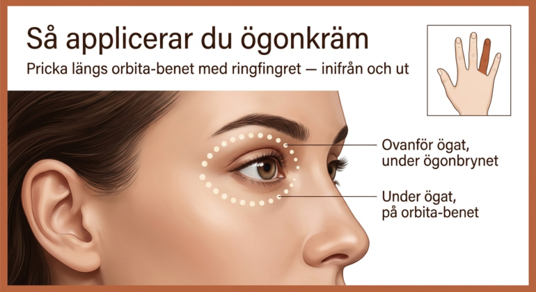 Illustration som visar hur ögonkräm appliceras med ringfingret i prickar längs orbita-benet, ovanför och under ögat