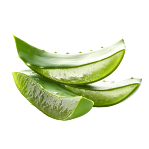 Fresh aloe vera leaves cut open to reveal clear gel against a black background.